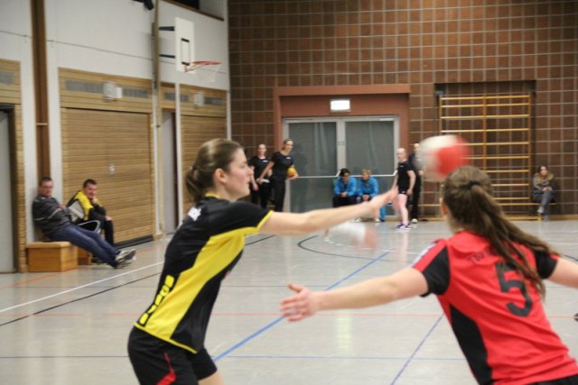 2016_01_23 Landesliga Frauen